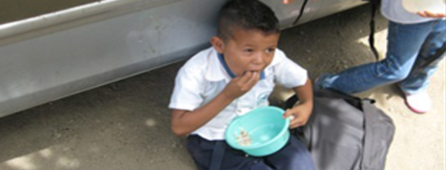 Our Feeding Program